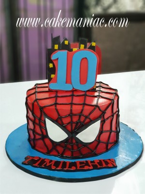 Spiderman Superhero 