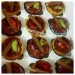 Chocolate cupcakes